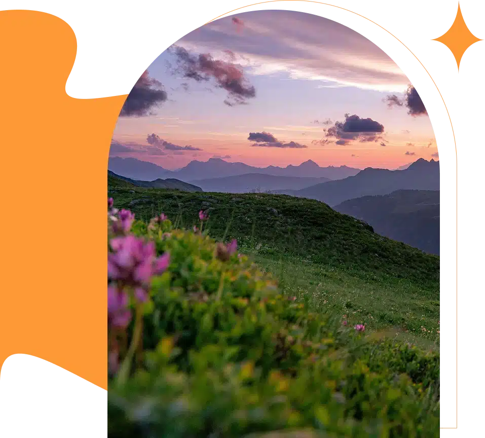 Mountain landscape at sunset with pink flowers in the foreground.
